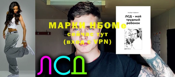 ешки Аркадак