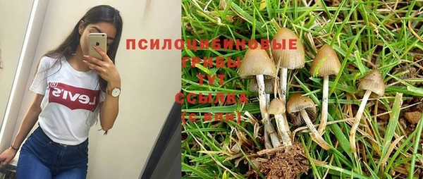 ешки Аркадак