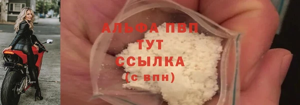 гидра Анжеро-Судженск