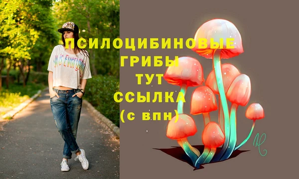 гидра Анжеро-Судженск