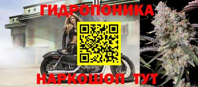 хмурый Малоярославец