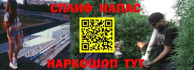 хмурый Малоярославец