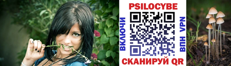 Псилоцибиновые грибы Cubensis  что такое наркотик  Всеволожск 