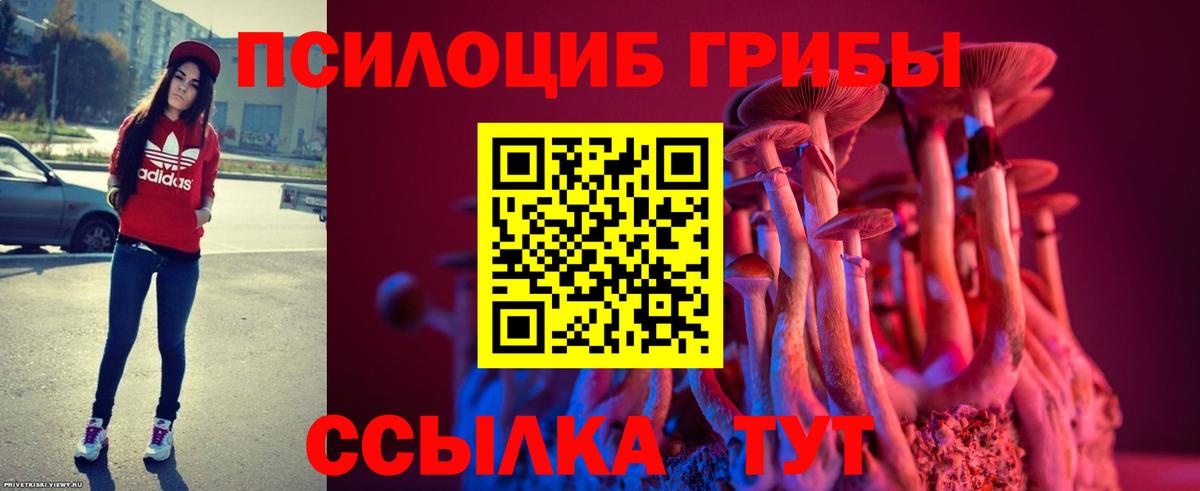 Псилоцибиновые грибы мицелий  Вход с VPN  Всеволожск 